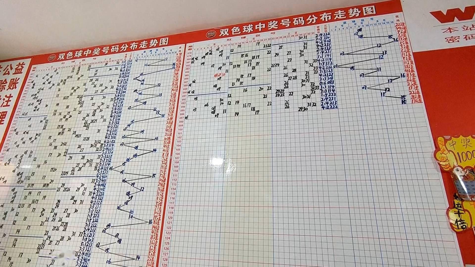 双色球彩票，网杀号定胆与投注策略探索