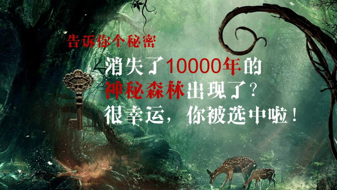 天齐图3D福彩字谜，探索神秘、追寻幸运之旅