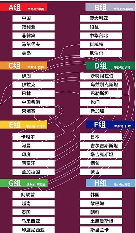 世界杯预选赛结果查询，紧张刺激的比赛进程与球迷们的期待