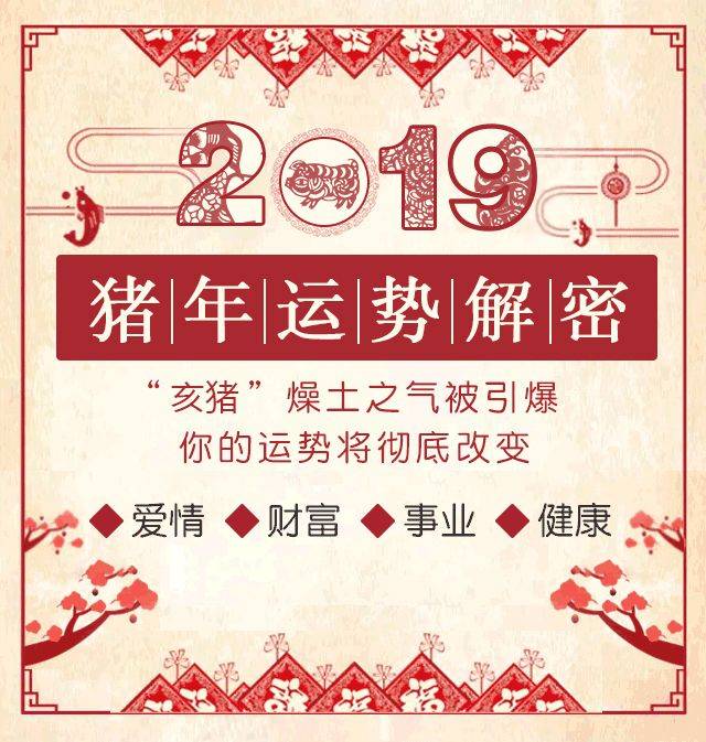 一码一肖，揭秘精准预测背后的秘密与故事