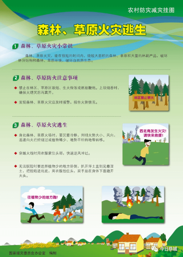 布衣天下，今日图之魅力展现