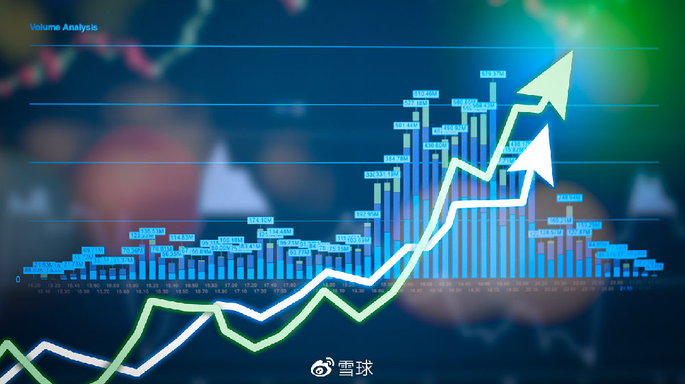 谁是下一个证券的龙头，市场趋势与未来展望