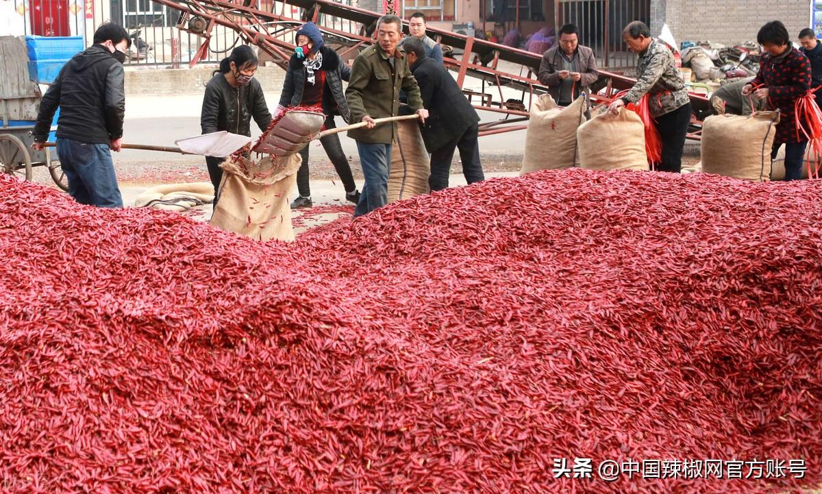 北京快三公交早上发车时间详解