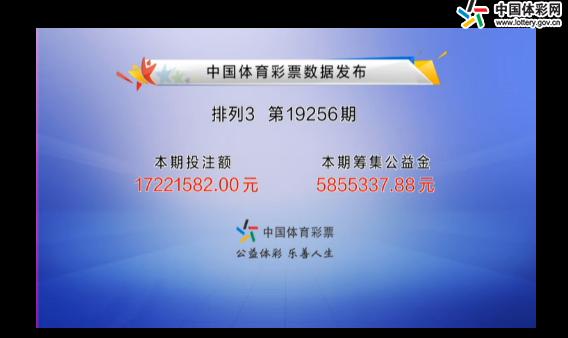 体育七星彩的开奖结果，激情与期待的交汇点