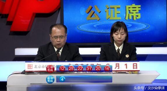 双色球历史号码查询开奖器——探索彩票世界的便捷工具