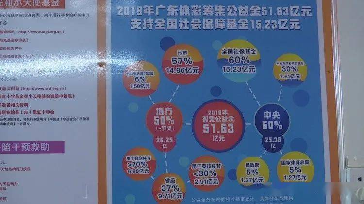 体育彩票中奖攻略，如何慧眼识珠，把握中奖契机