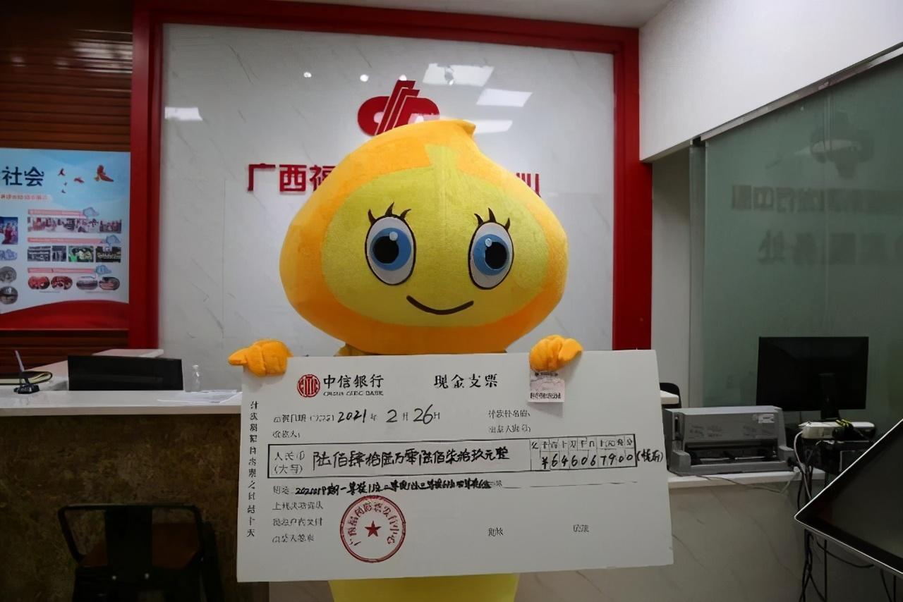 双色球今晚开将结果，揭秘彩票背后的故事