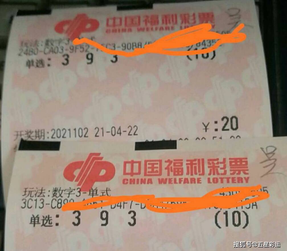揭秘2023年3D排列3开奖结果，幸运与梦想的交汇点
