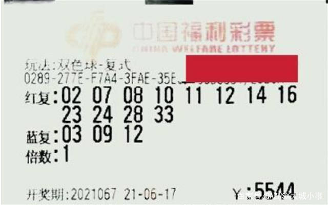 双色球彩票推荐号码，2024年第120期精选号码推荐