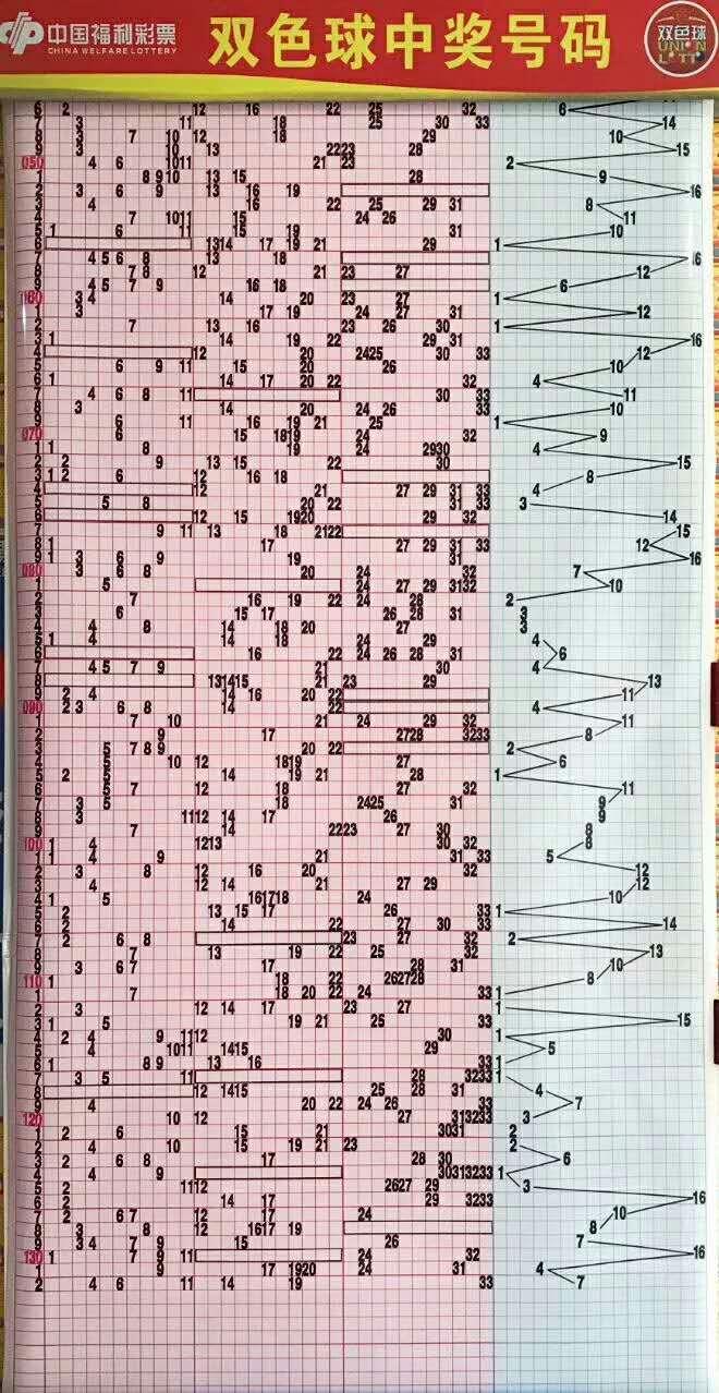 中国福利彩票双色球与数字31的奥秘