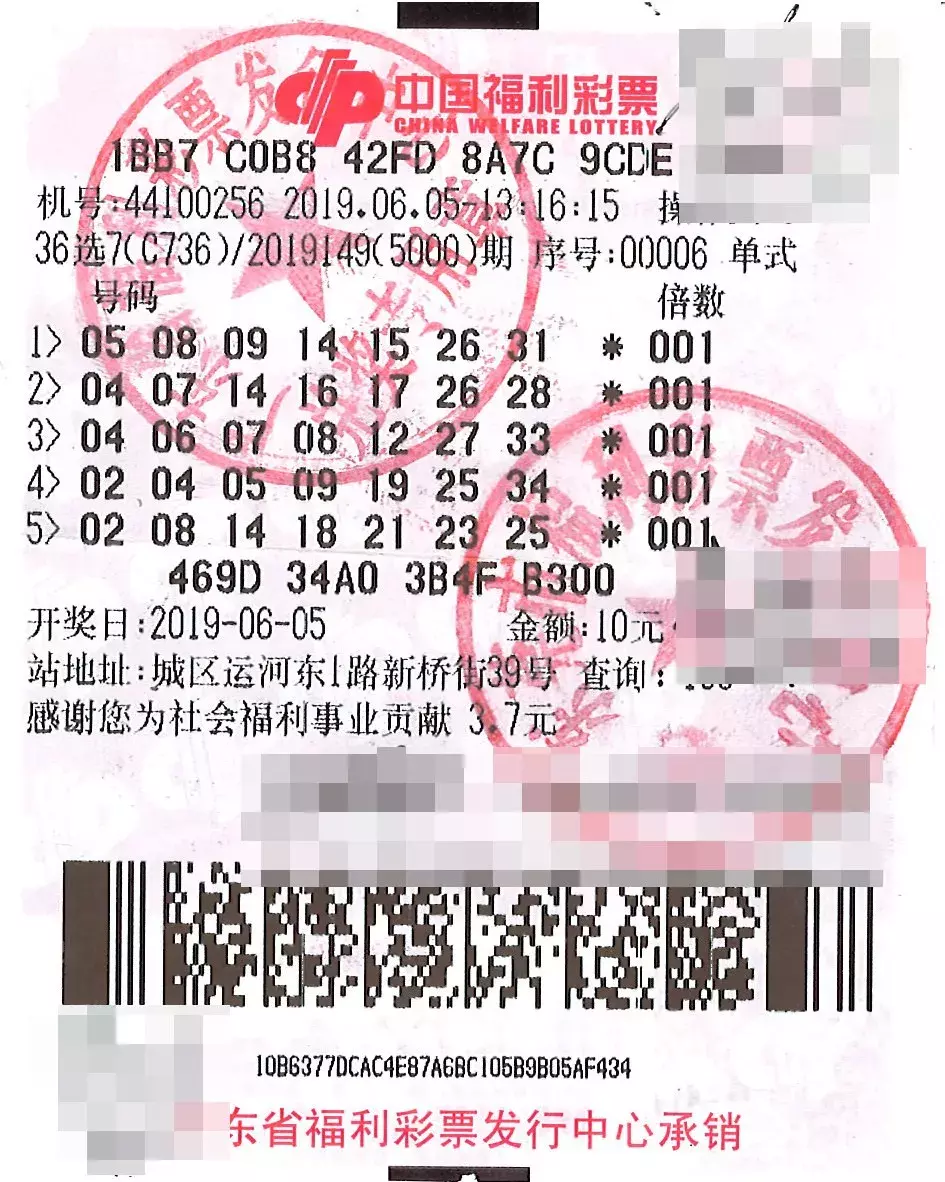 南粤风采开奖结果，魅力无限的彩票世界