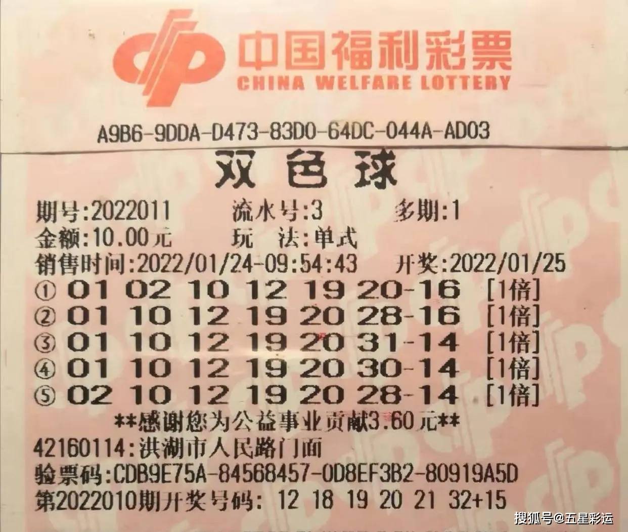 期待与惊喜