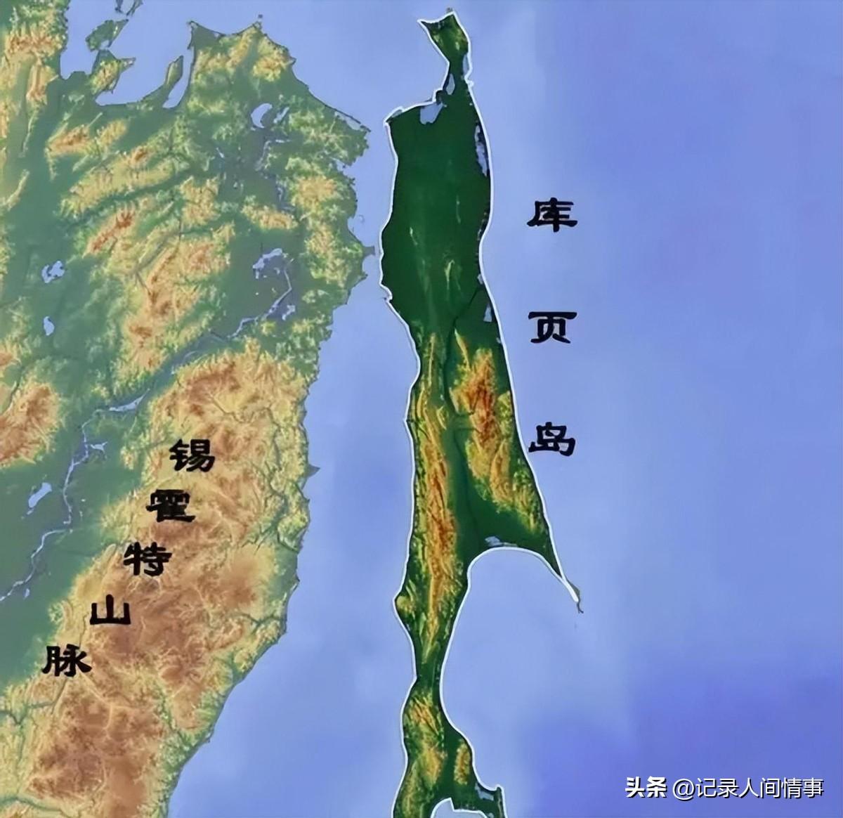 双色球第055期开奖结果揭晓，幸运与惊喜交织之夜