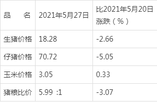 鬼六走势图的奥秘与探索