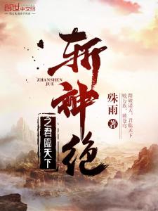 布衣天下，皮剑青免费阅读小说之旅