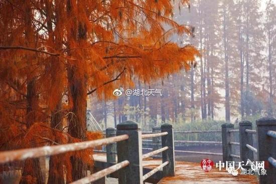 湖北十一月米胖天气下的多彩画卷