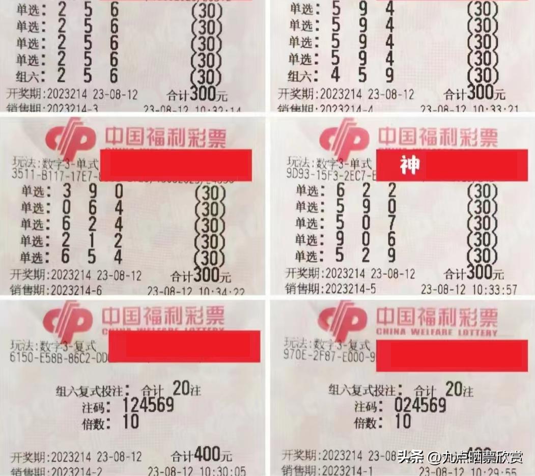 中国福彩中心原主任视频，揭示与反思