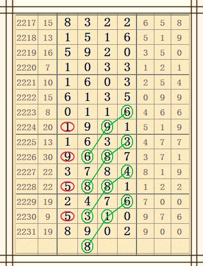 揭秘2017期特区七星彩，幸运与策略交织的彩票世界