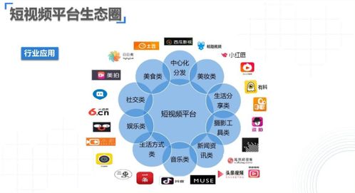 新浪必发指数网，引领社交媒体新时代的风向标