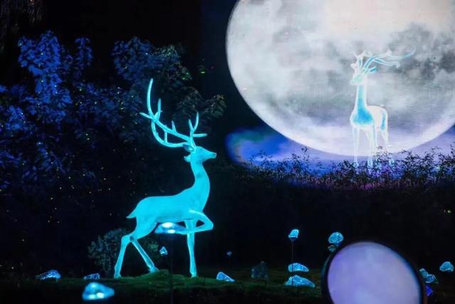 月夜影院，光影交织下的独特体验