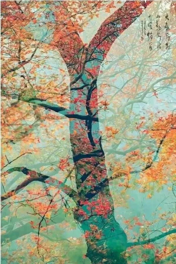 左岸春风一语断蓝，深秋时节的诗意画卷