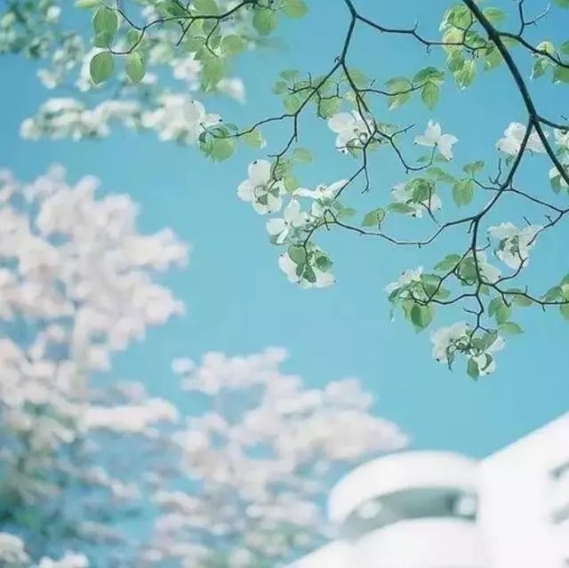 左岸春风一语断蓝，一路顺风