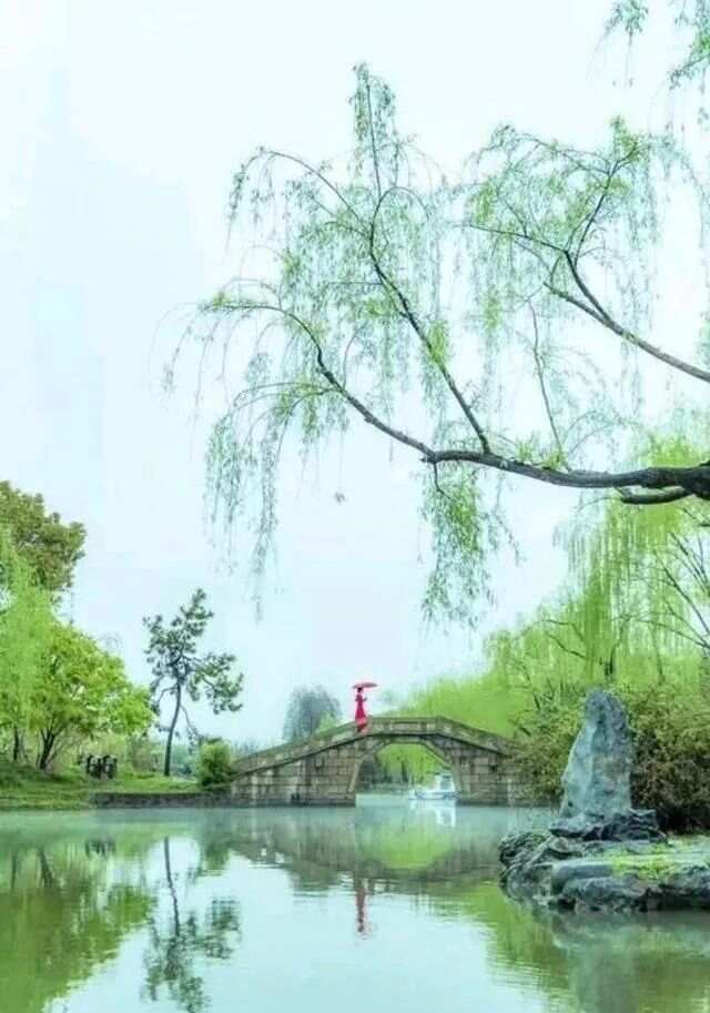 左岸春风一语断蓝，浮想联翩