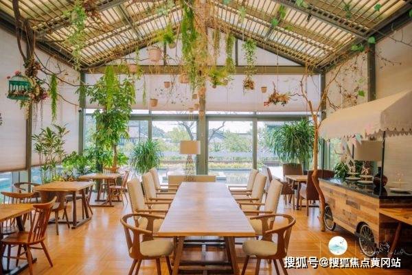 左岸春风一语断蓝，2016年汇总解析与洞察