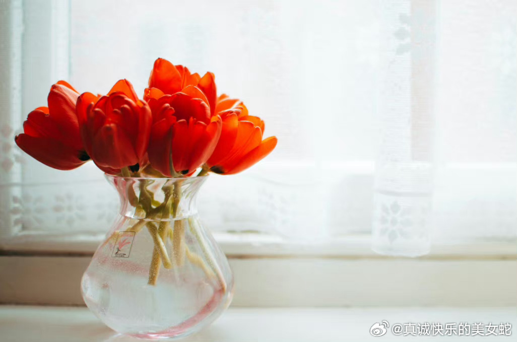 快乐十三张，生活中的幸运与喜悦