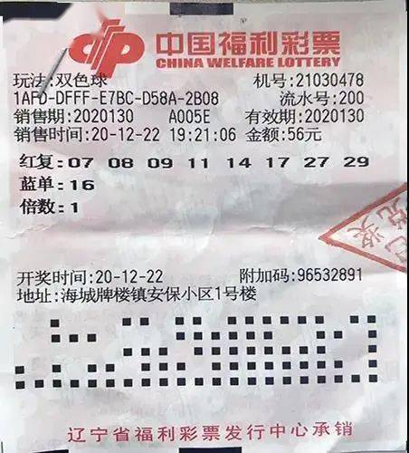 双色球走势图新浪新彩，揭秘彩票背后的科技魅力与未来趋势