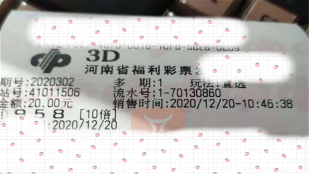 三地开奖结果果，探索与解析