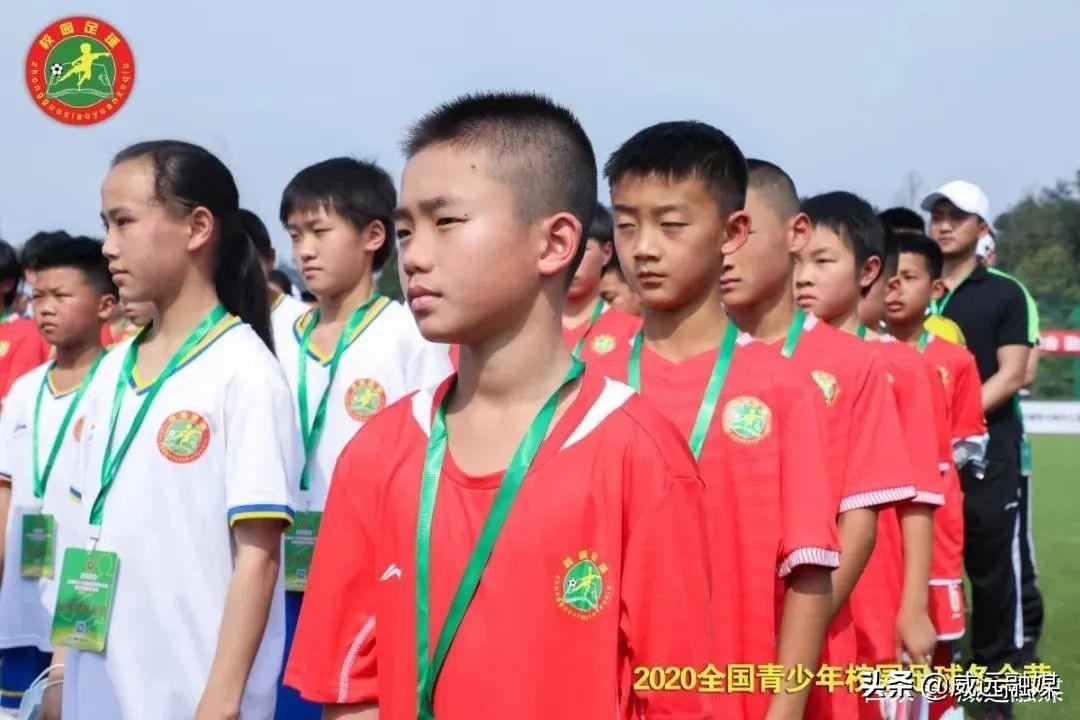 免费观看足球比赛的平台，探索与体验