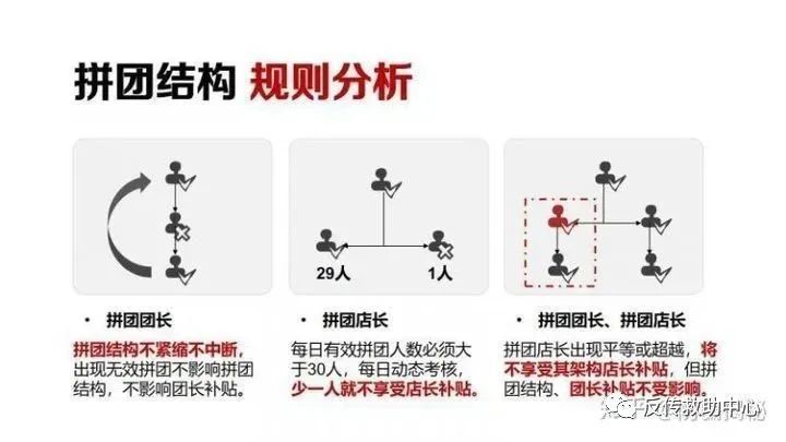 揭秘Qixingcai的含义与背景