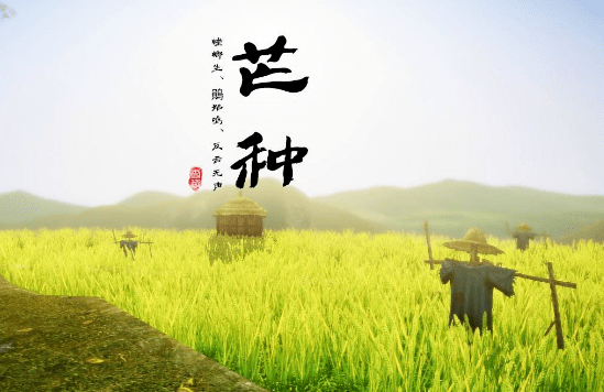 中国七星彩的今天，魅力、挑战与未来