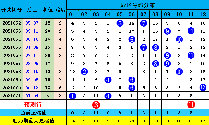 体育彩票走势图模板，探索与解读