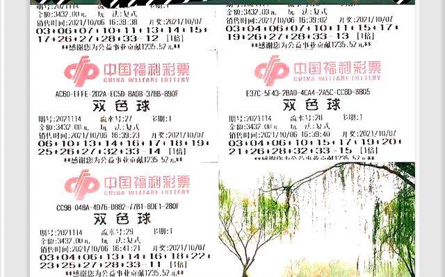 双色球开奖号码免费查看指南
