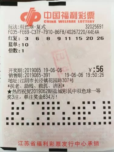 双色球开奖号码2021109结果查询，揭秘幸运之门背后的秘密