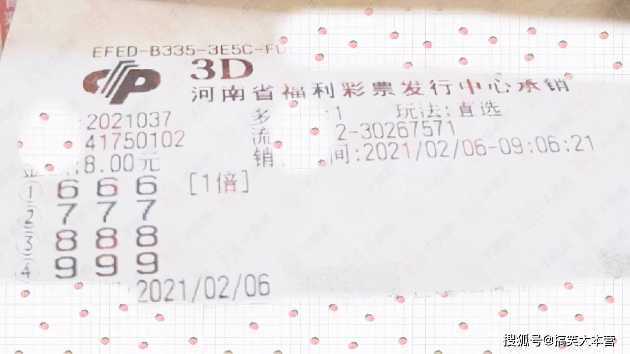 今晚3D开奖结果实时查询与实票推荐指南
