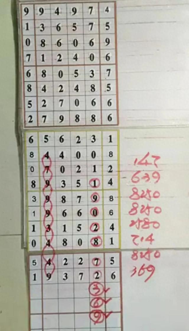 排列五开奖结果奖结果查询，探索数字彩票的魅力与便捷查询方式